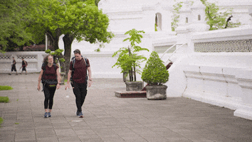 The Amazing Race Team GIF by CBS