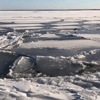 Lake Superior Freezes in Huge Chunks as Minnesotans Shiver Through Subzero Temperatures