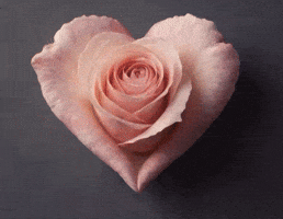 Heart GIF