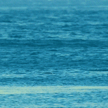 advanced spin GIF