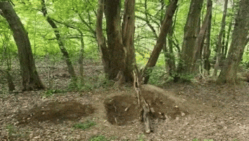 Sport Jumping GIF