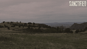 North Dakota Horse GIF by FILMRISE