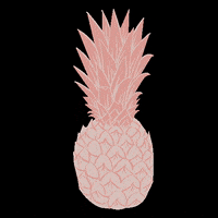 Pina Colada Fruit GIF by Miss Beaut