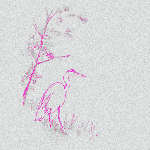 Eating Fish Heron GIF
