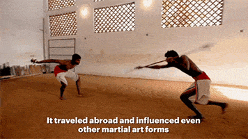 Martial Arts India GIF by Digg