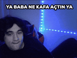 Sus GIF