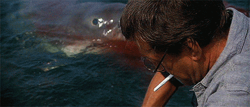 source.gif