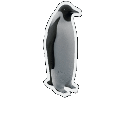Penguin Sticker By Uula.gif