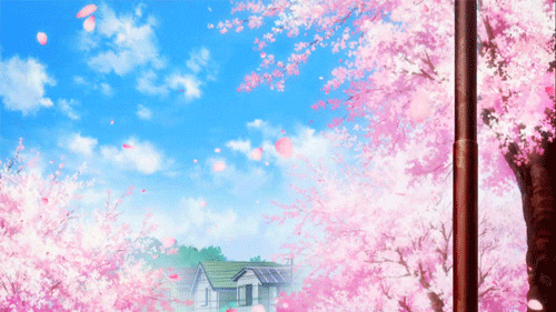 Anime Aesthetic Beautiful Sakura Cherry Blossoms GIF | GIFDB.com