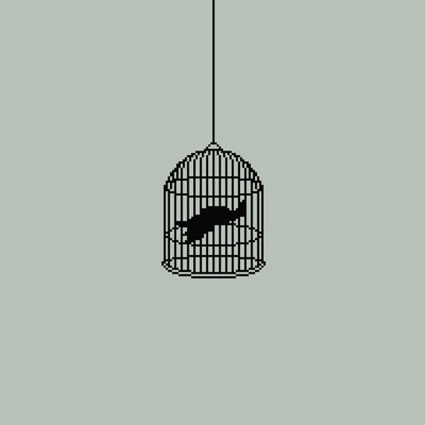 Animation Bird Gif By Braindead.gif