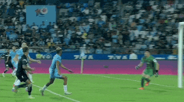 Save Fc Goa GIF by Indian Super League