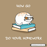 Do Your Homework Gifs Get The Best Gif On Giphy Do Your Homework Gifs Get The Best Gif On Giphy