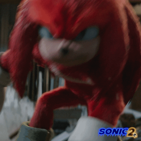 Paramount Pictures Knuckles GIF by Sonic The Hedgehog