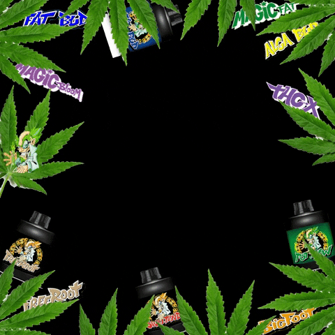 Flower GIF
