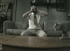charlie day cat GIF by Maudit