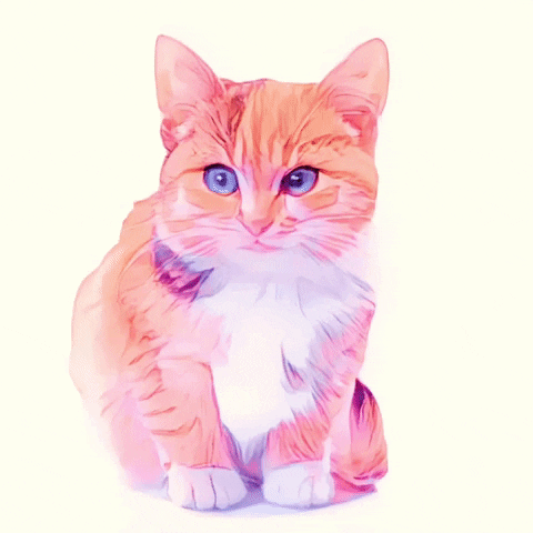 Baby Animal Cat GIF by The3Flamingos