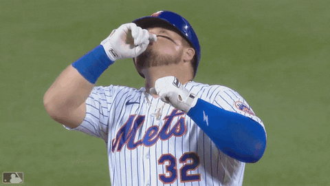 Excited Ny Mets GIF by New York Mets - Find & Share on GIPHY