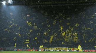 yellow wall fans GIF by Borussia Dortmund