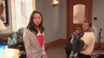 Parks And Recreation Television GIF
