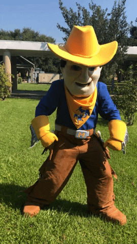 Mascot GIF by McNeese State University - Find & Share on GIPHY