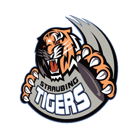 National Hockey League Sport Sticker by Deutsche Eishockey Liga (DEL)