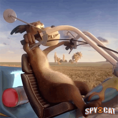 the secret life of pets movie animated gif the secret life of pets movie animated gif