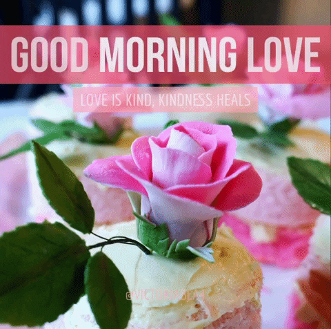 Love Roses Life Jesus Victoriabea4 Pink Goodmorning GIF