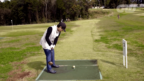 Animated GIF - Find & Share on GIPHY