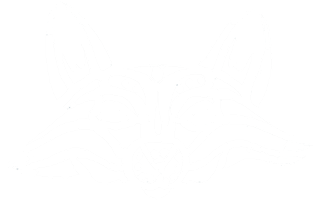 Fox Wink Sticker by Foxlane