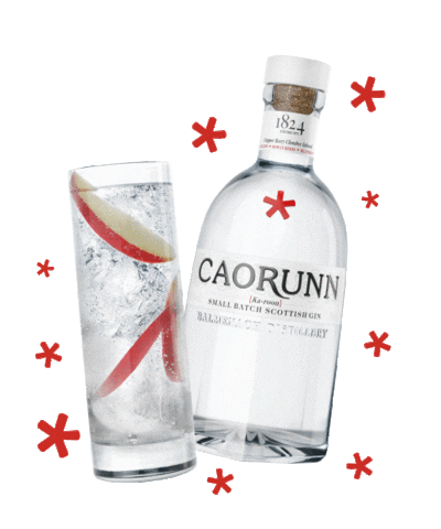 Gin And Tonic Sticker by Caorunn Gin