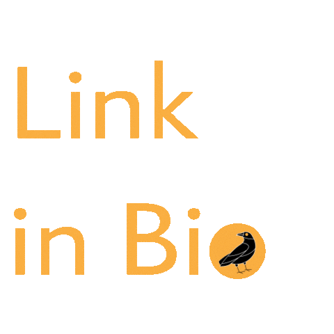 Link Iconicamx Sticker by Iconica Studio