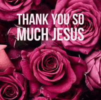 Thankyou Jesus Somuch Victoriabea4 Roses GIF