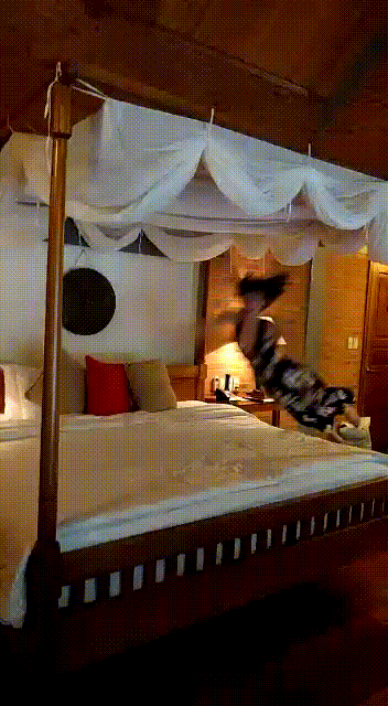 bed satisfying GIF