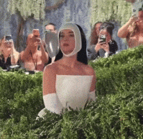Katy Perry Stan Twitter GIF