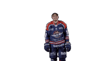 Ducs Dangers Hockey Sticker by Les Ducs d'Angers