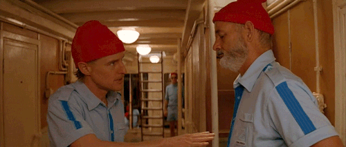 the life aquatic with steve zissou