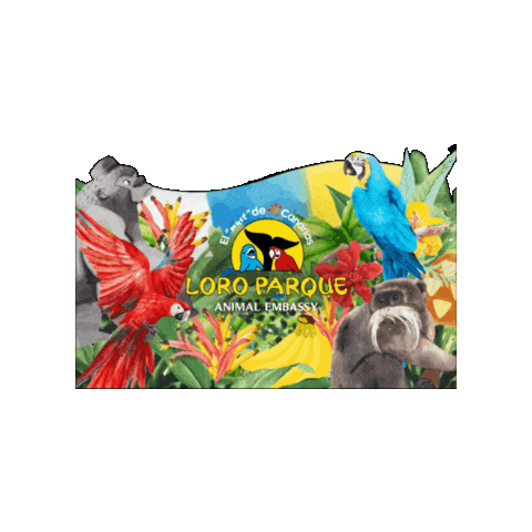 Dia De Canarias Siampark Sticker by Loro Parque