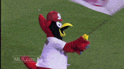 St Louis Cardinals GIF by MLB