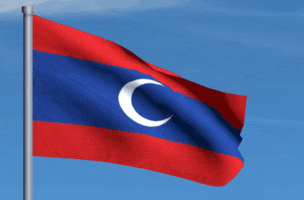 Flag GIF
