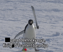Jxdjxjdn628 GIF