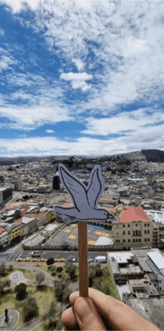 Stop Motion Travel GIF by cintascotch