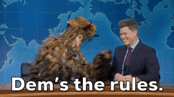 Snl Owl GIF by Saturday Night Live