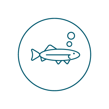 Ministry for the Environment Sticker