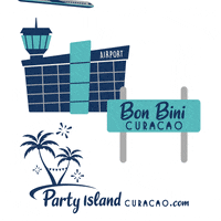 Bon Bini Airport GIF by Party Island Curacao