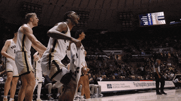 Happy Lets Go GIF by Purdue Sports