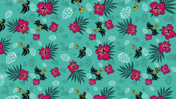 Lagabière GIF