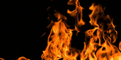 Climate P4F GIF by Parents4Future