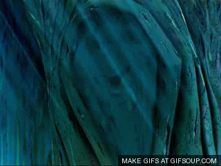 The Top 20 Different Types of Witches Revealed 13 local spirit gif