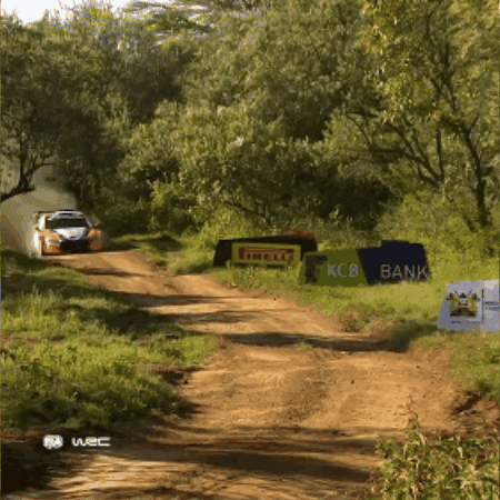 Hyundai Driving GIF by FIA World Rally Championship
