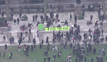 Kill The Bill GIF by GIPHY News